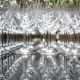 James Beard Stemware