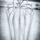 OSV Whipping Whisk fine art photograph